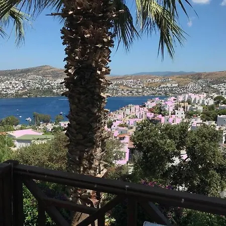 Gündoğan Koyu Manzaralı Bodrum